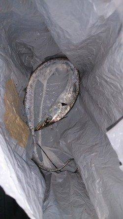 汐見埠頭　ウキ釣りでタチウオ85cm　エサはキビナゴ使用