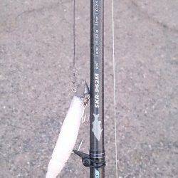 岸和田でタチウオワインド　30分で2本釣れました♪