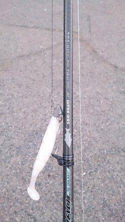 岸和田でタチウオワインド　30分で2本釣れました♪