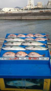 【明日は大漁放流です！】マリーナシティ海洋…