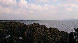 開始三投目でチヌ35㎝☆潮吹岩でのフカセ釣り