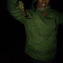 姫路方面でのべ竿のウキ釣り、四目達成です♪