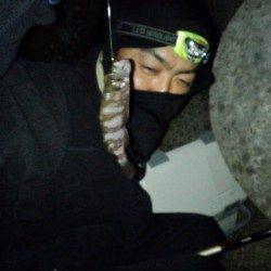 姫路方面でのべ竿のウキ釣り、四目達成です♪