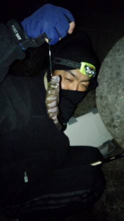 姫路方面でのべ竿のウキ釣り、四目達成です♪…