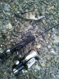 炬口でアジング・メバリング　付き場見つけア…