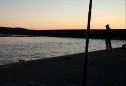 アオリイカ狙いに串本へ！