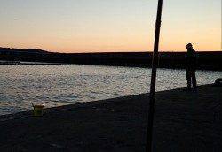 串本港　夕方からのエギング釣行もサイズには不満