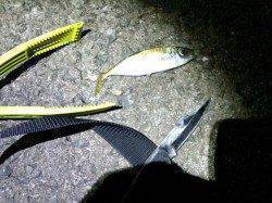 フェリー乗り場から道の駅まで自転車にてランガンアジング