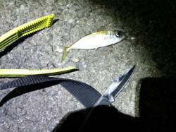 フェリー乗り場から道の駅まで自転車にてラン…