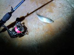 明石港のアジング調査