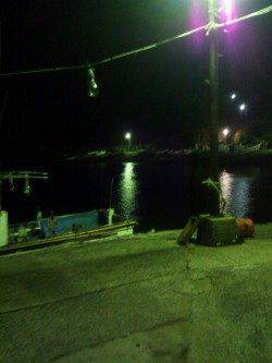 足下と常夜灯下で良型のアジ・メバル　