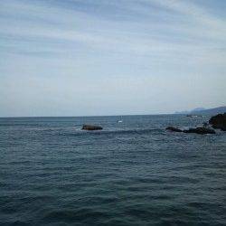 蒲井漁港　ライトタックルでセイゴ入れ食い♪