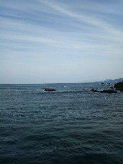 蒲井漁港　ライトタックルでセイゴ入れ食い♪