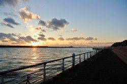 ライトタックルで32cmのシーバス　舞洲でちょい投げ釣行