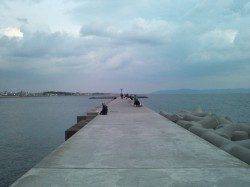 東二見、遠投サビキでアジが入れ食い！サヨリの姿も