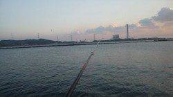 濱ノ瀬漁港　フカセ釣りでチヌ狙いもヘダイの釣果に