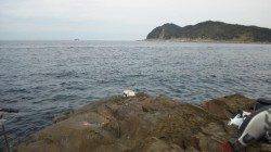 カツオがよく引いてくれました♪