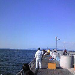 とっとパーク小島で小アジのサビキ釣り