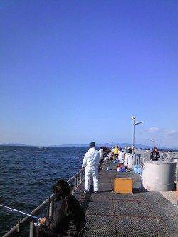 とっとパーク小島で小アジのサビキ釣り