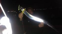 尾崎漁港、波止からのワインドでドラゴン級！…