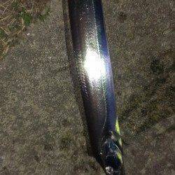 タチウオワインド【小さなアタリを逃さず掛けた！】