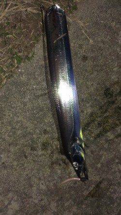 タチウオワインド【小さなアタリを逃さず掛けた！】