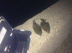 志筑　アナゴの猛攻を交わしながらのカレイ釣り　まだまだいけそうです！