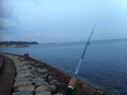 多賀で投げ釣り、アタリは何度かあったのですが…