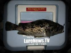 サーフメバリングに出かけてきました