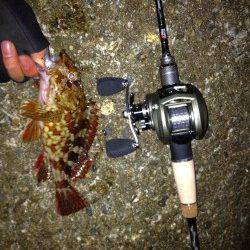 ベイトガシリングが楽しすぎて2時間ほどで30匹