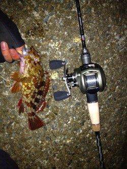 ベイトガシリングが楽しすぎて2時間ほどで30匹