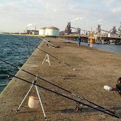 神鋼ケーソン　投げ釣りでキスの小気味いい引き