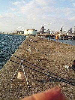 神鋼ケーソン　投げ釣りでキスの小気味いい引き