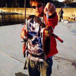 雑賀崎　低水温の中でのエギングでアオリイカ狙い