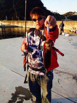 雑賀崎　低水温の中でのエギングでアオリイカ狙い