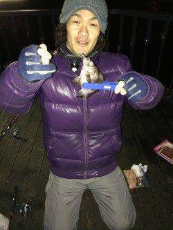 南港アジングでアジ・メバル・ガシラ、ほか大型チヌのバラシも!