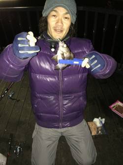 南港アジングでアジ・メバル・ガシラ、ほか大…