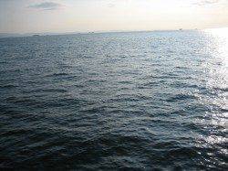 タチウオワインド夕方の時合に3連続ヒット！