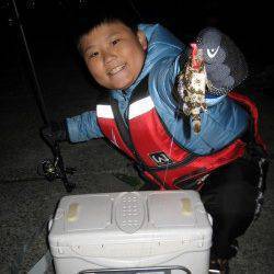 ダウンショットでタケノコメバルがヒット