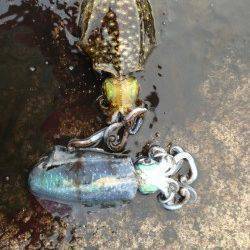 寒いですがまだ釣れています！音海学校裏でアオリイカ