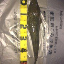 バイブレーションでマゴチ55㎝～(^o^)/*