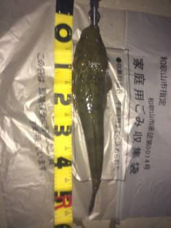 バイブレーションでマゴチ55㎝～(^o^)…