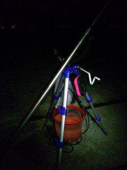 江井ヶ島漁港での投げ釣り釣果