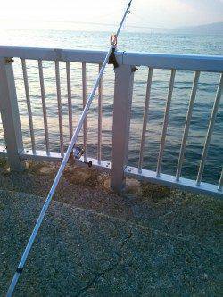 明石港　オールナイトの投げ釣り釣行もガシラ18cm