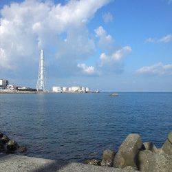 深日漁港　土曜の夜にエギング釣行