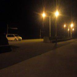 淡輪でメバリング、風が酷く何とかメバル・ガシラ