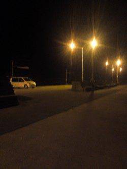 淡輪でメバリング、風が酷く何とかメバル・ガシラ