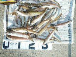 都志漁港へシーズン４回目のラスト釣行