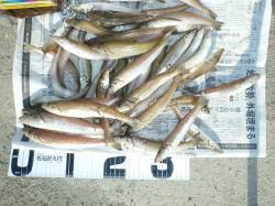 都志漁港へシーズン４回目のラスト釣行