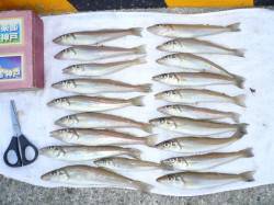 佐野漁港の投げキス～冷え込み厳しい中の満足…